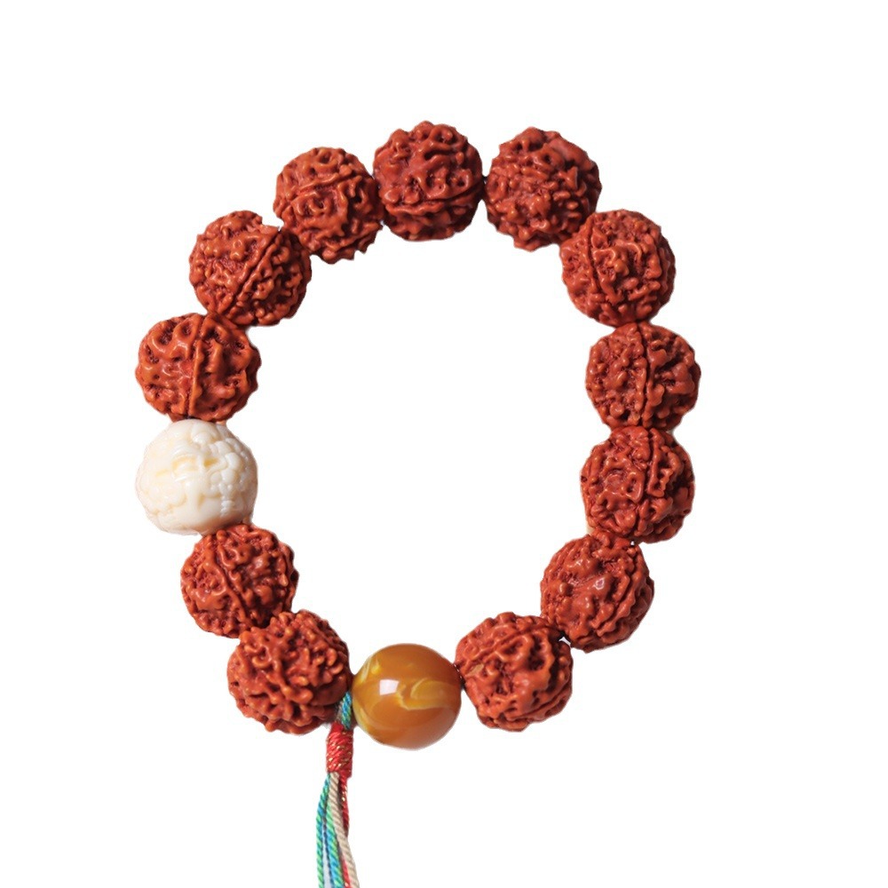 Nepal Five Petal Full Meat Dra - Women Accessories Nepal のレビューと価格