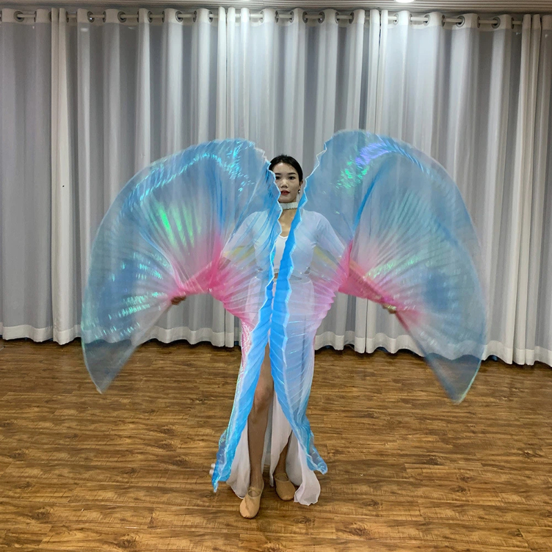 Belly Dance Costumes, Wing Dan - Women'S Egyptian Accessories のレビューと価格