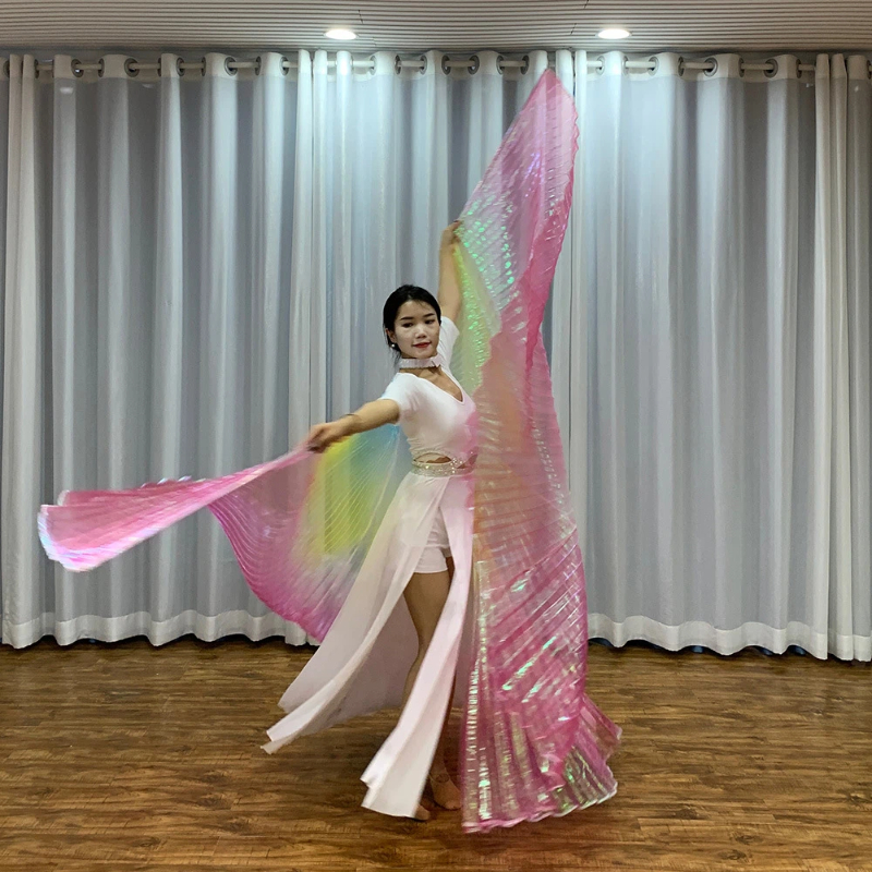 Belly Dance Costumes, Wing Dan - Women'S Egyptian Accessories のレビューと価格