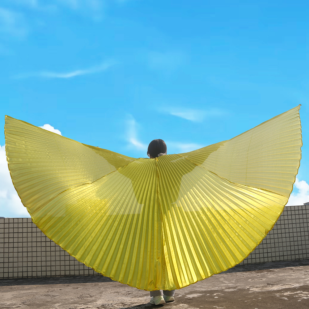 Belly Dance Wings Belly Dance  - Women'S Egyptian Accessories のレビューと価格