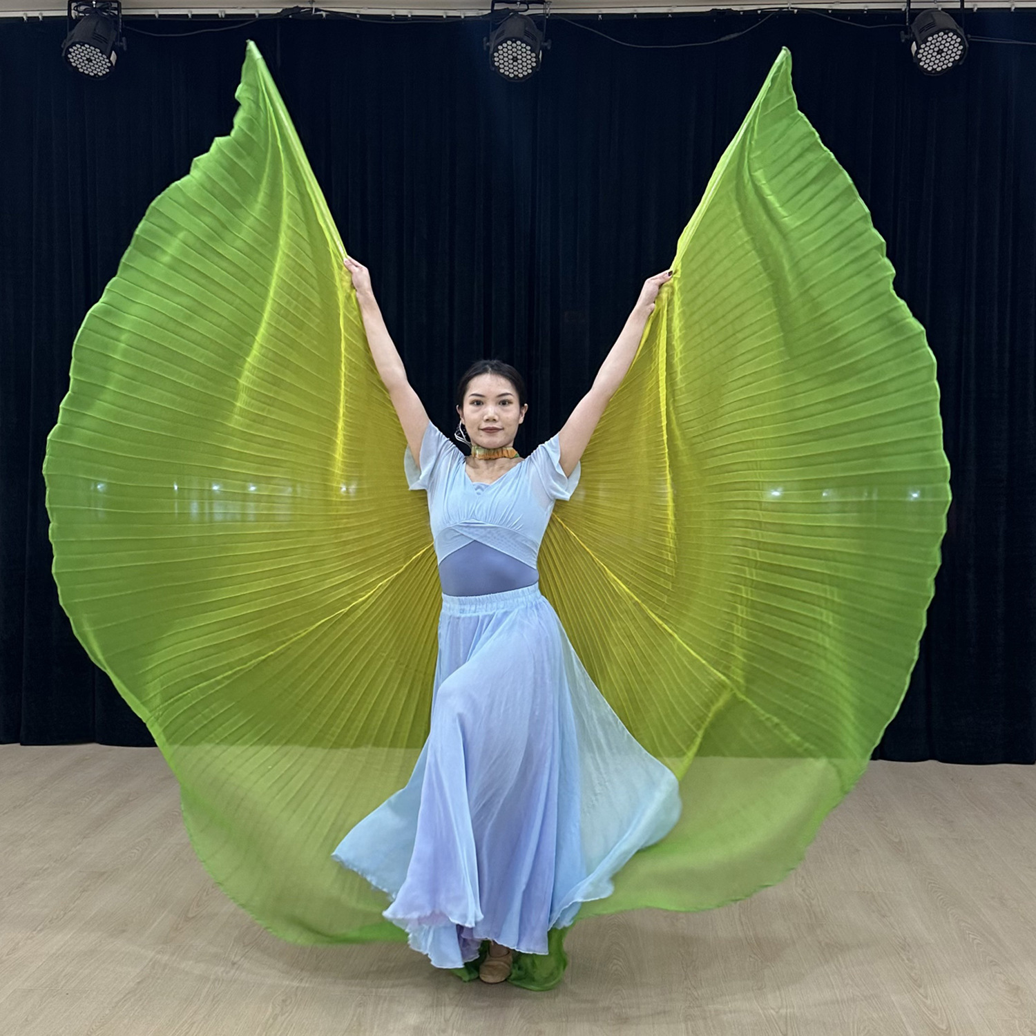 Worship Isis Wings Adults Wome - Women'S Egyptian Accessories のレビューと価格